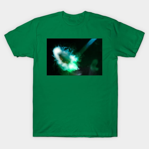 Spooky green alien Jellyfish T-Shirt by Christine aka stine1